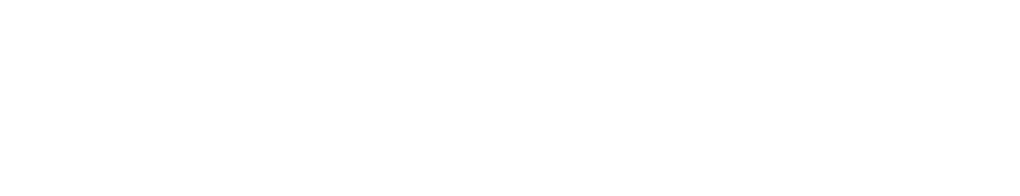 wellnesssjunction