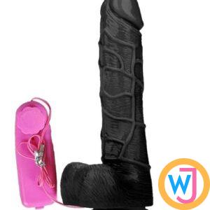 Black Dildo Soft And Head Rotated