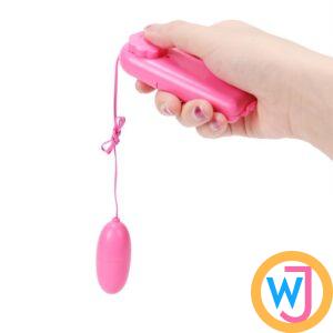 Bullet Egg Remote Controled Vibrator Clitoral G Spot Stimulators for women