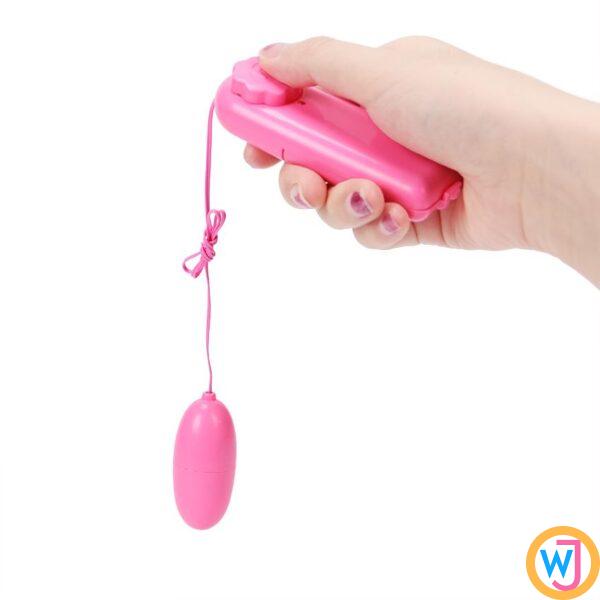 Bullet Egg Remote Controled Vibrator Clitoral G Spot Stimulators for women