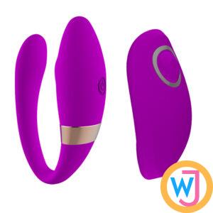 Double Motor Swan Vibrating Egg Sex Vibrator For Couples