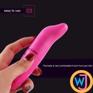 Rose Red Mini Dolphin Vibrator For Woman G Spot Stimulator