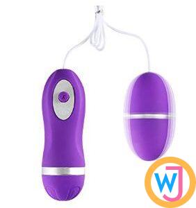 Strong Mini Bullet Wired Love Egg Vibrator for Women